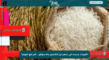 تغيرات جديدة في سعر أرز الشعير بالأسواق.. كم بلغ اليوم؟